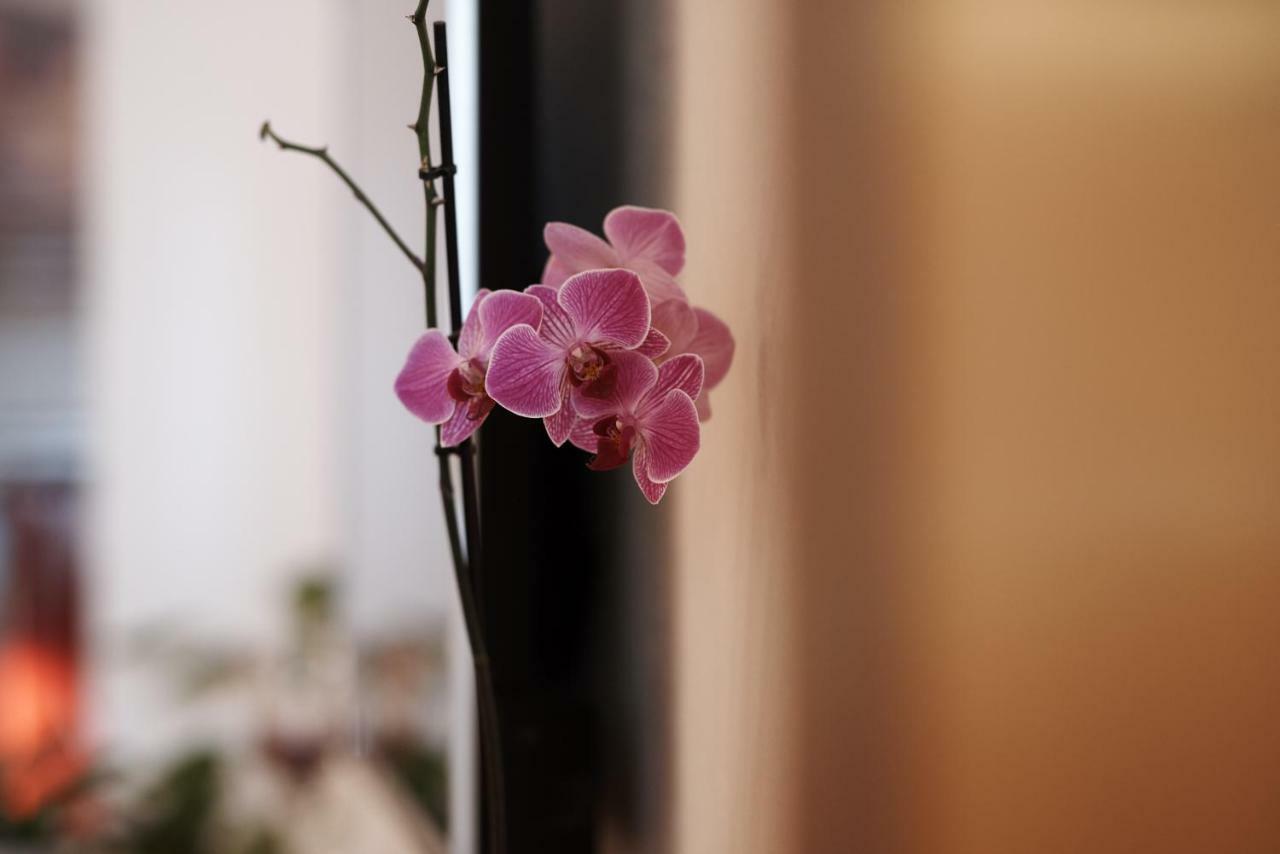 Apartman Antonio Trogir Exteriér fotografie